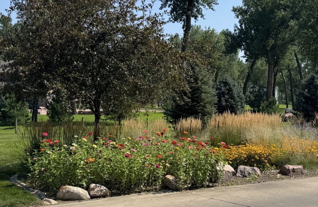 A garden in bloom at Wynstone