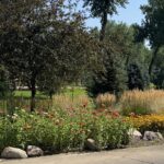 A garden in bloom at Wynstone